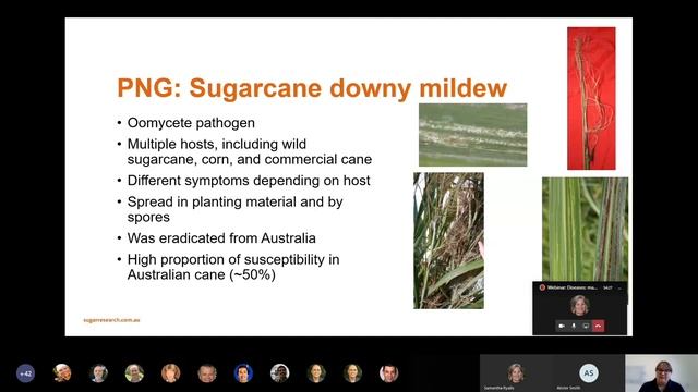 Webinar: Biosecurity (part 2) - Current sugarcane diseases and future threats - Preparation is key смотреть онлайн