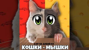 Кошки-мышки