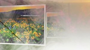 КРАСИВАЯ МЕЛОДИЯ НЕБЕС. ЯПОНСКИЙ САКСОФОН.