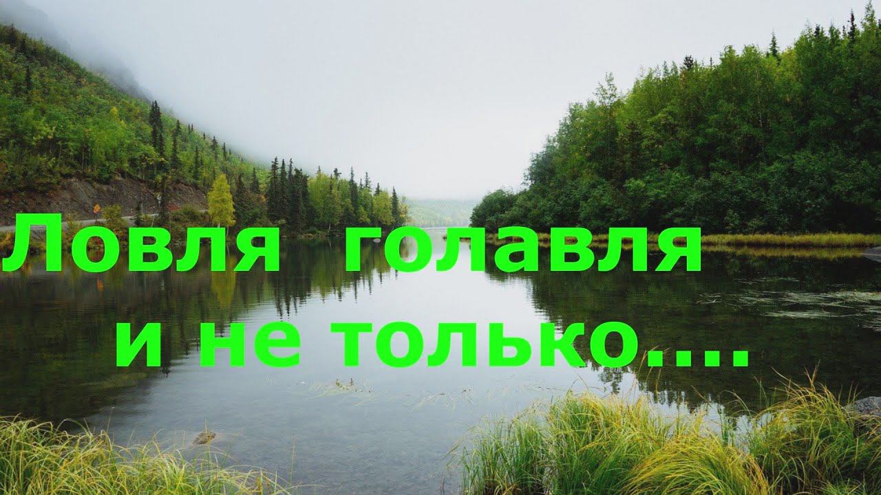 Ловля голавля и не только. Graphiteleader Tiro GOTS-762L 1-12 смотреть онлайн