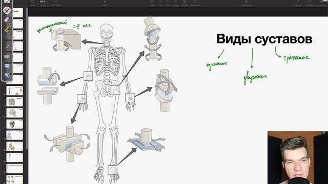 6.11. Строение сустава. Виды суставов | Анатомия к ЕГЭ | Георгий Мишуровский смотреть онлайн
