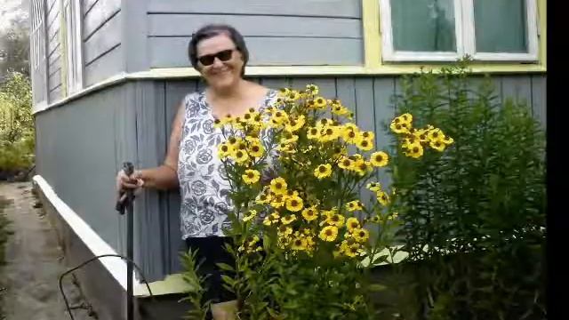 2015 Я и дача avi смотреть онлайн