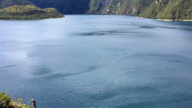 Колебания Смелости