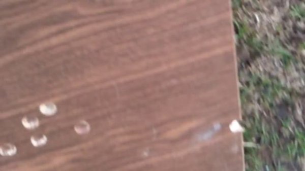 Streamer 2014 резултат