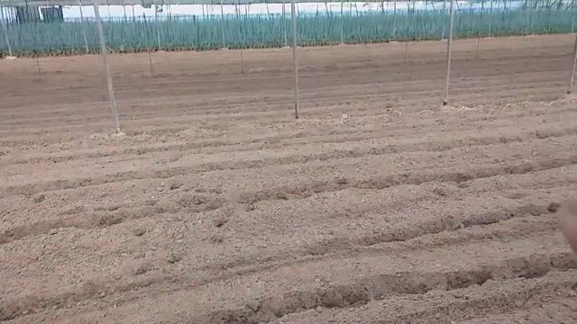 Agria 1900 deja la tierra perfecta para el cultivo. смотреть онлайн