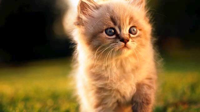 Музыка новинки . Настоящий хит! Послушайте! смотреть онлайн