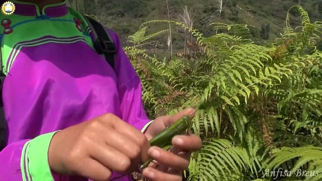 freelancelifestyle ru Vietnam 365 6 Sapa Private Trekking смотреть онлайн
