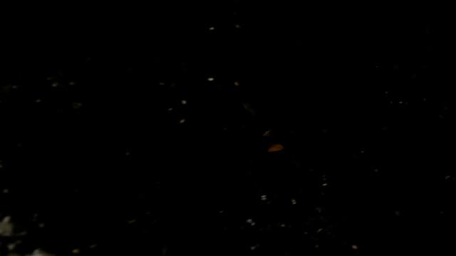 ФИАЛКИ ОСТОРОЖНО НЕМАТОДЫ Veilchen смотреть онлайн