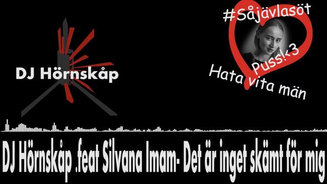DJ Hörnskåp feat. Silvana Imam - Det är inget skämt för mig смотреть онлайн