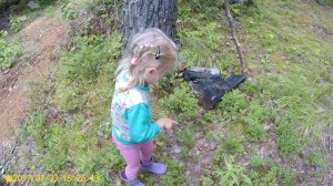 Сгоняли за черникой, привезли отсев