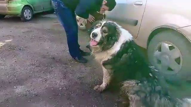 УТРО РОТИКА И КОТИКА. Я ЕДУ ЛЕЧИТЬСЯ. БЛОГ.14 смотреть онлайн