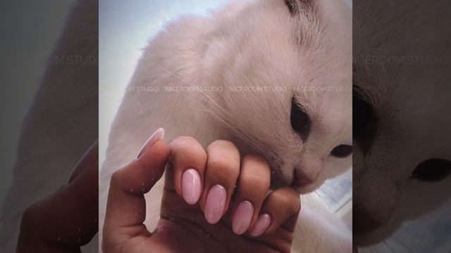 Самый модный маникюр Зима-Весна 2021-2022 - фото идеи зимнего и весеннего маникюра | Nail Art смотреть онлайн