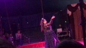 К нам приехал цирк шапито.