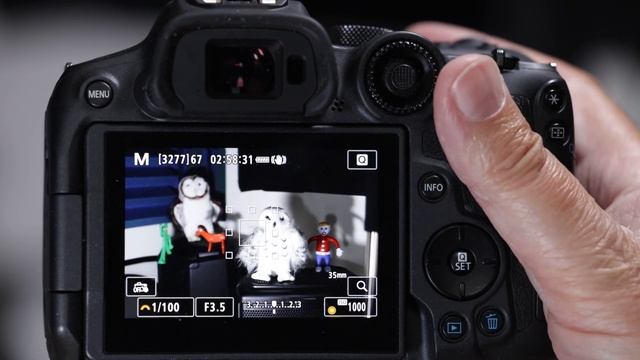 EOS R7 Quick Setup Guide for Bird Photography: 25 minute version (May, 2023) смотреть онлайн