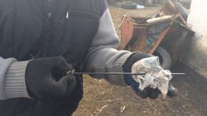 Дровокол AL-KO: Проверка масла!