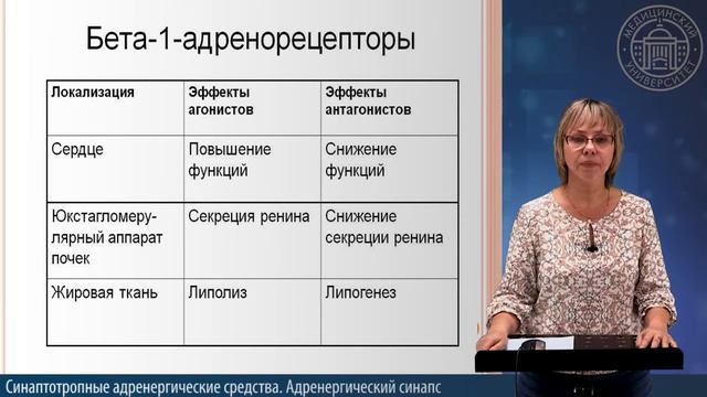 1 №12 АДРЕНЕРГИЧЕСКИЙ СИНАПС смотреть онлайн