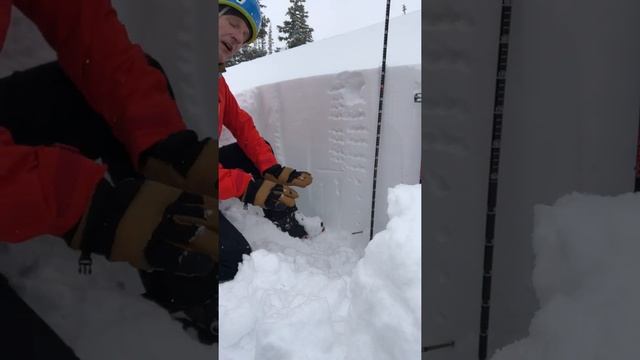 Snowpack Discussion - January 6, 2022 смотреть онлайн