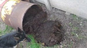 Компостная бочка. Самодельный компост. Компостный ящик своими руками