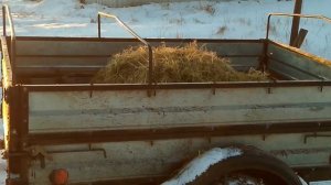 Как содержать деревескую лошадь зимой.