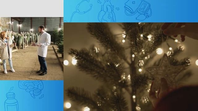 Как ВЫБРАТЬ идеальную новогоднюю ЕЛКУ? смотреть онлайн