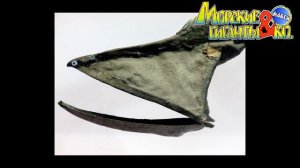 Deagostini МОРСКИЕ ГИГАНТЫ и КО МАКСИ ПЕЛИКАНОВИДНЫЙ БОЛЬШЕРОТ  Деагостини распаковка Liska Show