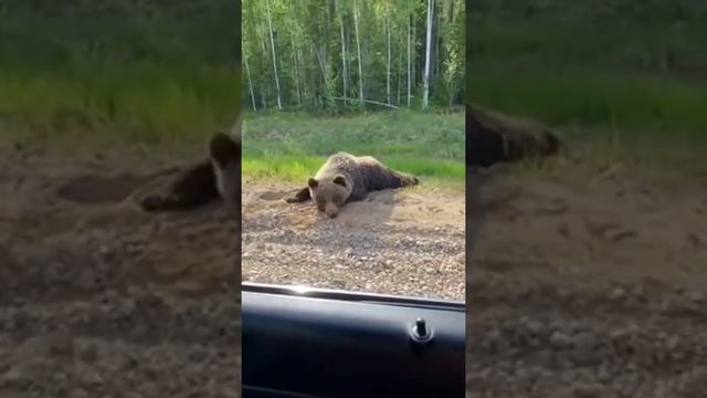 Как до Уфы доехать ? смотреть онлайн