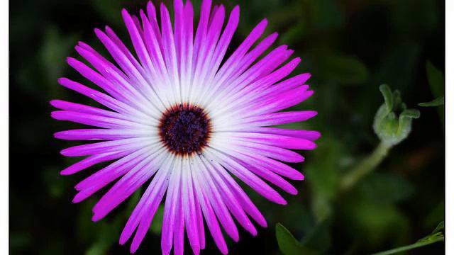 Самые лучшие русские новинки и видео 2015 смотреть онлайн