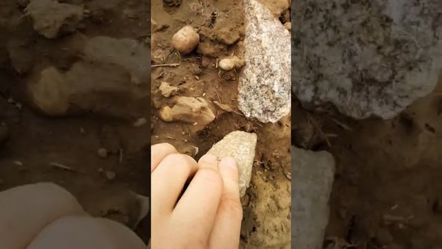 Мой орех на даче!!!!! смотреть онлайн