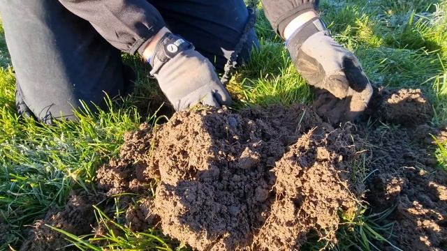 The New Simplex LITE Vs The Quest X5 | Metal Detecting UK смотреть онлайн