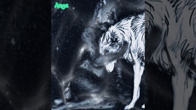 Anga _Wolf - ЗАЧЕМ ТЕБЕ Я???🐺 смотреть онлайн