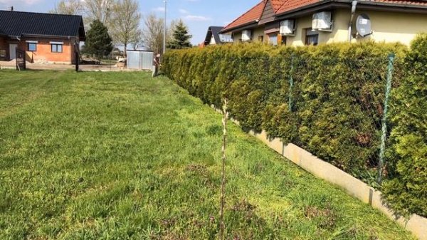 Podkaszarka STANLEY FATMAX V20 SFMCST933 M1-QW