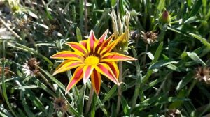 Наперекор судьбе 1 - 4 серии | Мелодрама 2021