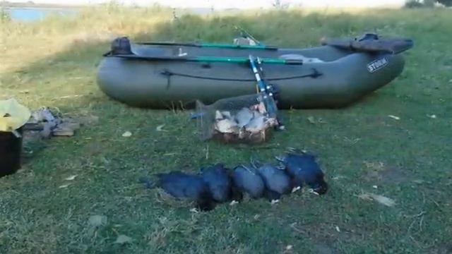 Волчьи ворота 2015 смотреть онлайн