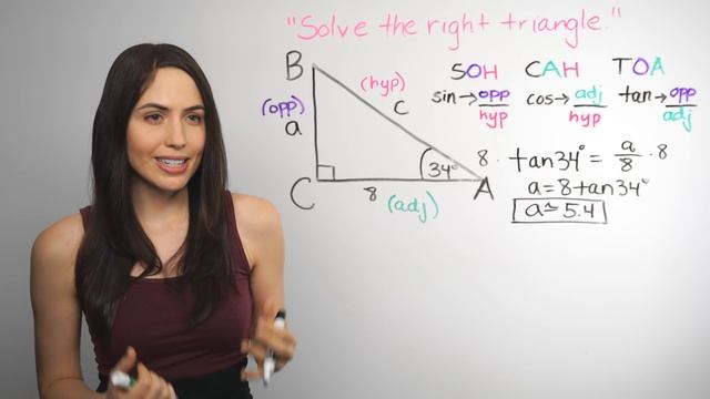 Trigonometry: Solving Right Triangles... How? (NancyPi) смотреть онлайн