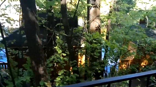 Святой источник Серафима Саровского смотреть онлайн