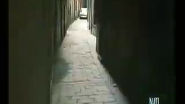 Poliziesco 