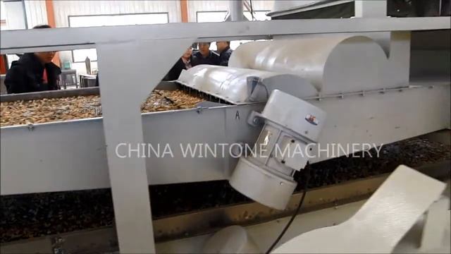 Оборудование для шелушения семян тыквы / Оборудование для шелушения подсолнечника