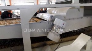 Оборудование для шелушения семян тыквы / Оборудование для шелушения подсолнечника