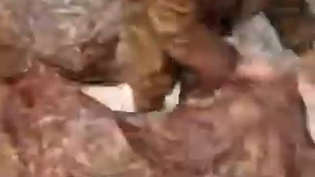 Универсальная палатка УП 5 смотреть онлайн