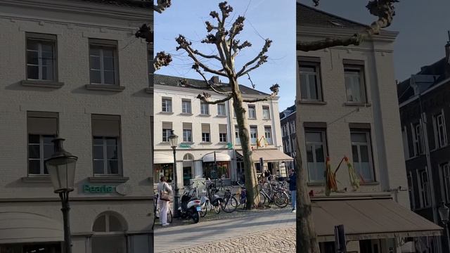 #maastricht # Basiliek van Sint Servaas 聖瑟法斯聖殿是馬斯垂克的著名教堂 смотреть онлайн