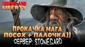 THRONE AND LIBERTY! КАЧАЕМ ТВИНА! MagZloi НА МАГЕ! ГИЛЬДИЯ: Rodina