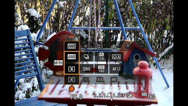 Canon R6 Mark II Review - amazing speed and autofocus (+ test photos) смотреть онлайн