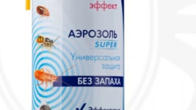 ДИВАННЫЕ КЛОПЫ. Чем травить клопов . Перепробовать все ? смотреть онлайн