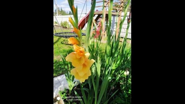 Осенние стихи смотреть онлайн