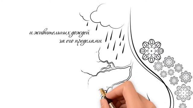 МАКО ФУРНИТУРА поздравляет всех с новым 2016 годом! смотреть онлайн