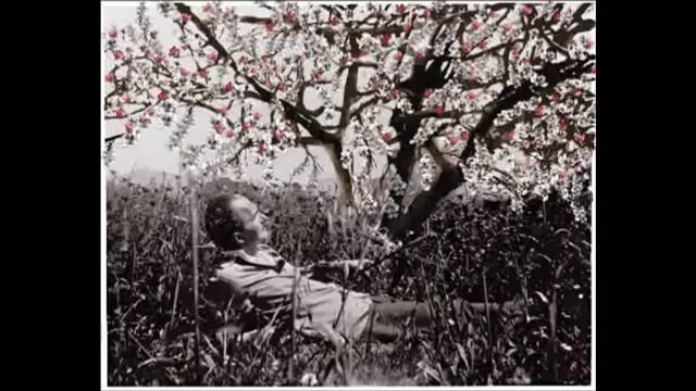 I Asked the Almond Tree 2012 (Kazantzakis Publications) смотреть онлайн