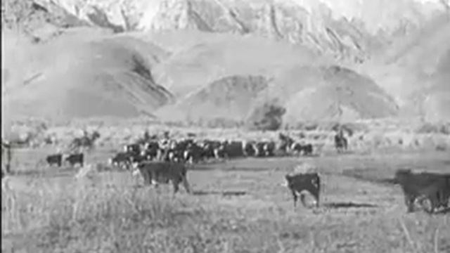 Secret Valley, (1937) with Virginia Grey and Richard Arlen смотреть онлайн