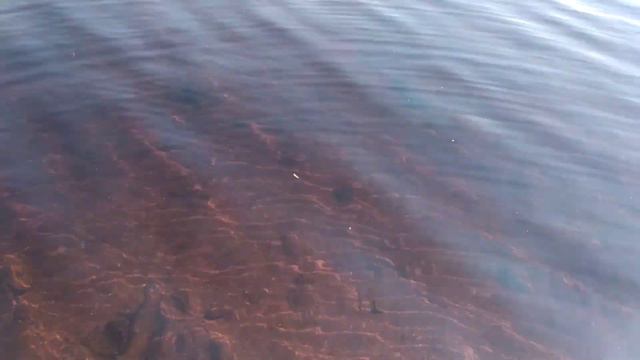 В Карелии тысячи озер смотреть онлайн