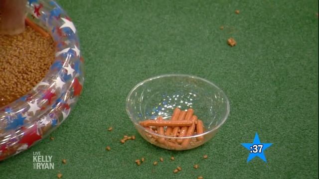 Live's 4th of July Games: Franks and Beans смотреть онлайн