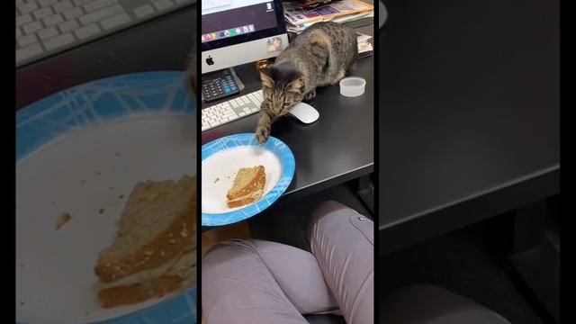 Когда мама попросила ничего не трогать смотреть онлайн